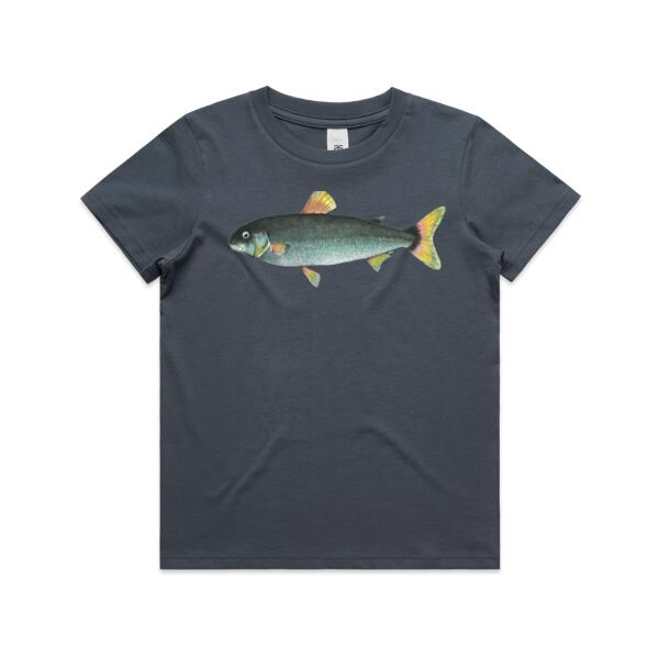 NZ Grayling Freshwater Fish Collection Thumbnail