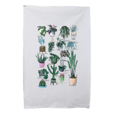 17 Indoor Plants Thumbnail