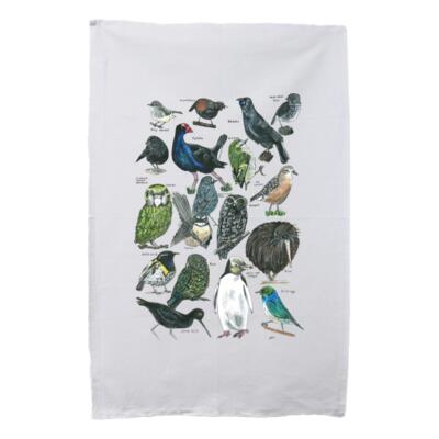 18 Native Birds Thumbnail