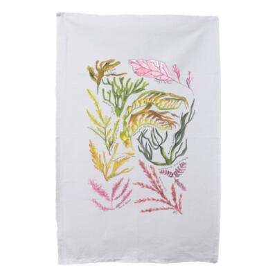 Seaweed & Kelp Thumbnail