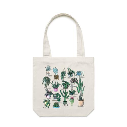 17 Indoors Plants Thumbnail