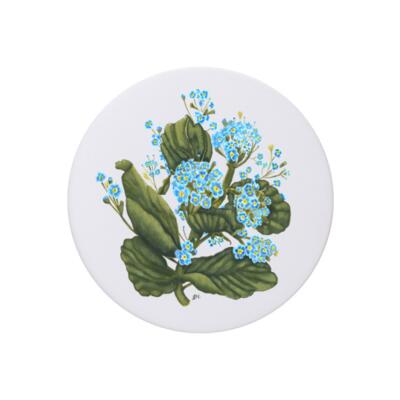 chatam islands forget me not Thumbnail