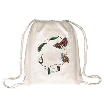 Monarch Life Cycle Thumbnail