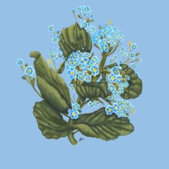 Chatham Island Forget me not  - AS Colour Womens Maple Tee Design