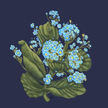 Chatham Island Forget me not  - AS Colour Mens Staple T shirt Design