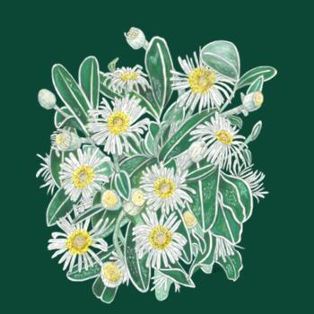 Marlborough Rock Daisy Cluster - AS Colour Womens Maple Tee Design