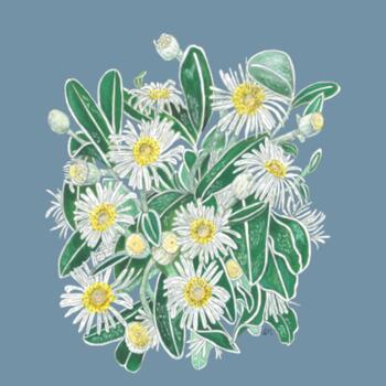 Marlborough Rock Daisy Cluster - AS Colour Denim Carrie Tote Design