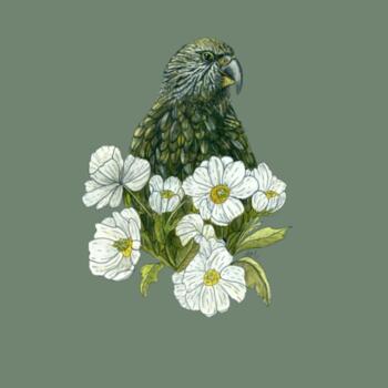 Kea + Mt Cook Buttercup - AS Colour Kids Youth T shirt Design