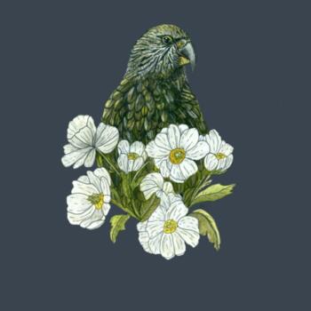 Kea + Mt Cook Buttercup - AS Colour Womens Maple Tee Design