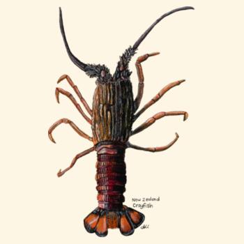 NZ Native Crayfish - AS Colour Carrie Tote Bag  Design