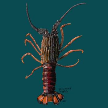 NZ Native Crayfish - AS Colour Womens Maple Tee Design