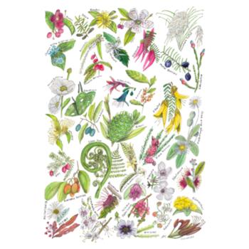 NZ Botanicals Design