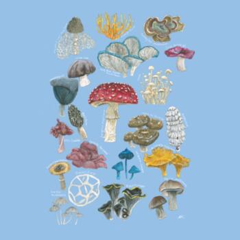 Mushrooms & Fungi - AS Colour Kids Youth T shirt Design