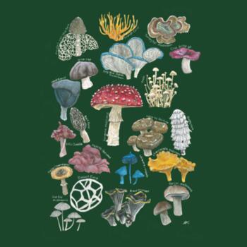 Mushrooms & Fungi - AS Colour Womens Maple Tee Design