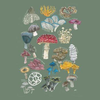 Mushrooms & Fungi - AS Colour Womens Mali Tee Design