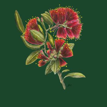 Pohutukawa Portrait - AS Colour Kids Youth T shirt Design