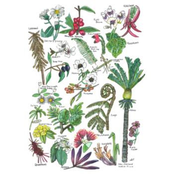 NZ Native Flora  - AS Colour Kids Youth T shirt Design