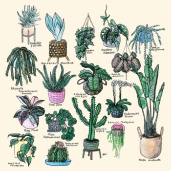 17 Indoor Plants - AS Colour Carrie Tote Bag  Design