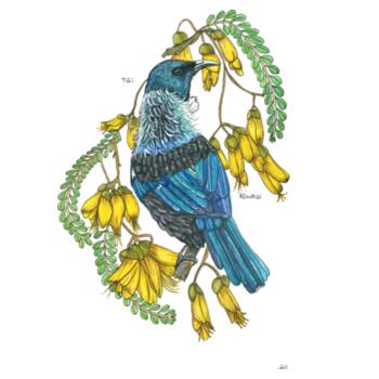 Tui + Kowhai - 100% cotton Tea Towel Design