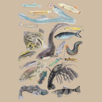 Freshwater NZ Species - AS Colour Kids Youth T shirt Design