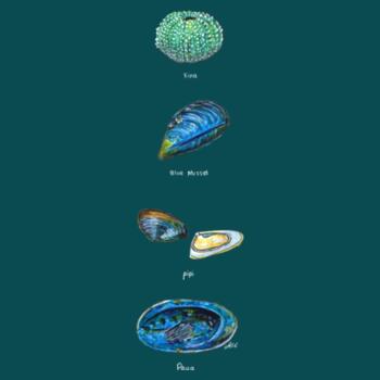 Kaimoana - AS Colour Womens Maple Tee Design