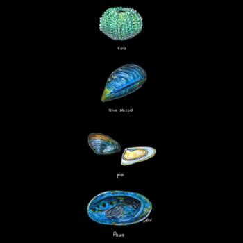 Kaimoana - AS Colour Womens Mali Tee Design