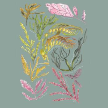 Seaweed & Kelp - AS Colour Mens Staple T shirt Design