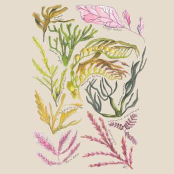 Seaweed & Kelp - AS Colour Mens Staple T shirt Design