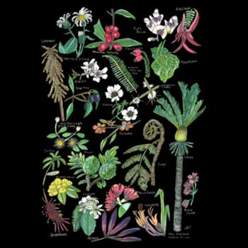 NZ Native Flora - AS Colour Womens long sleeve Design