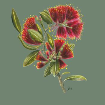 Pohutukawa Portrait - AS Colour Womens Hoodie Design