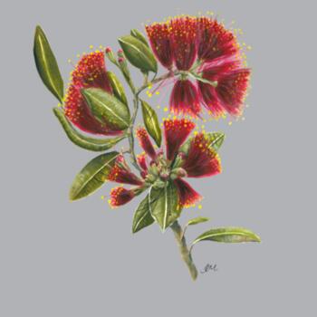 Pohutukawa Portrait - AS Colour kids Crew Sweater Design