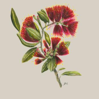 Pohutukawa Portrait - AS Colour kids Hoodie Design