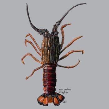 NZ Native Crayfish - AS Colour Mens Hoodie Design