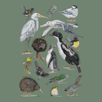 Forest to Coast Design