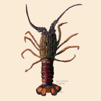 NZ Native Crayfish  - Drawstring Backpack Design