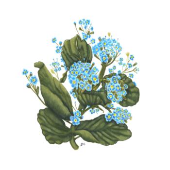 Chatham Island - Coaster - Round Ceramic Design