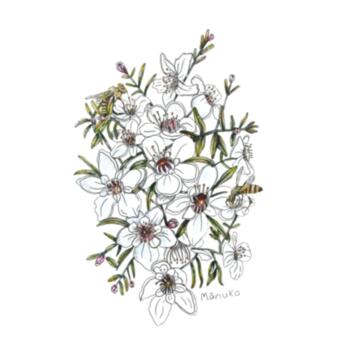 Manuka Honey Ceramic Coaster Design