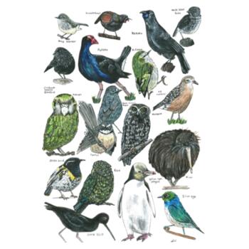 18 Native Birds - Tea Towel Design