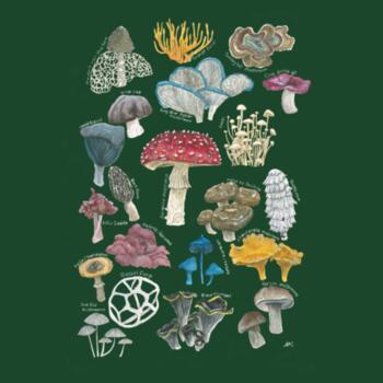Mushrooms & Fungi - AS Colour mens Supply Crew Design