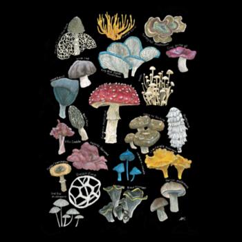 Mushrooms & Fungi - AS Colour Womens Maple long sleeveTee Design