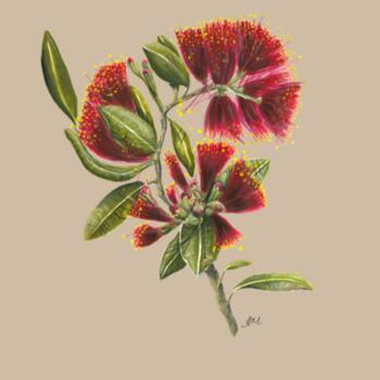 Pohutukawa Portrait - AS Colour Woman's Relax Hoodie Design