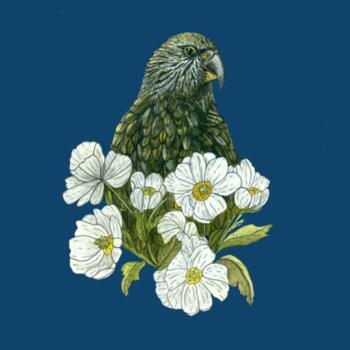 Kea + Mt Cook Buttercup Cushion Cover  Design