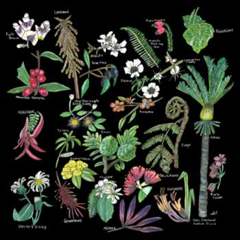 NZ Native Flora  - Cushion Cover Design