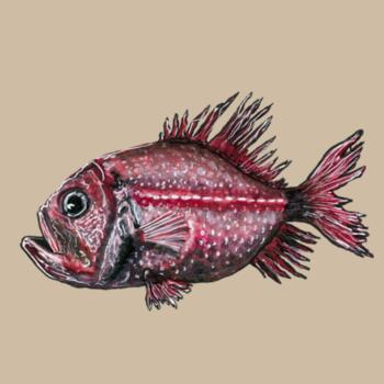 Orange Roughy  - AS Colour Kids Youth T shirt Design