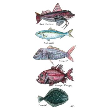 NZ Native Fish - AS Colour Mens Staple T shirt Design