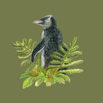 Yellow eyed Penguin + Rata - AS Colour Womens Maple Tee Design