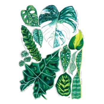 Leafy 11  - AS Colour Womens Mali Tee Design