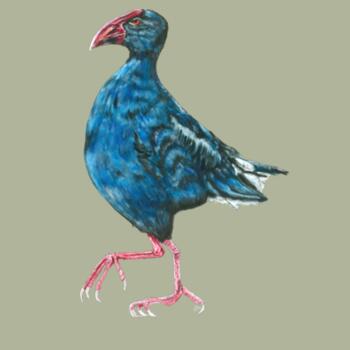 Perky Pukeko - AS Colour Womens Maple Tee - AS Colour Womens Maple Tee Design