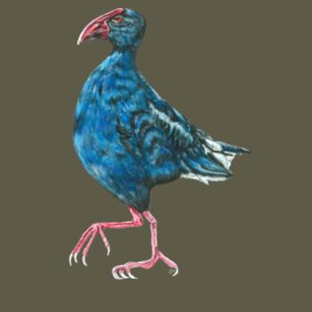 Perky Pukeko - AS Colour Mens Staple T shirt - AS Colour Mens Staple T shirt Design