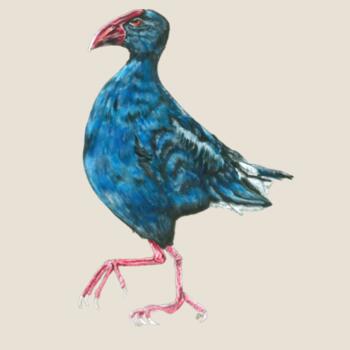 Perky Pukeko - AS Colour Womens Mali Tee - AS Colour Womens Mali Tee Design